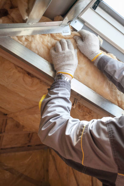 Best Attic Insulation Near Me  in Tuckahoe, VA